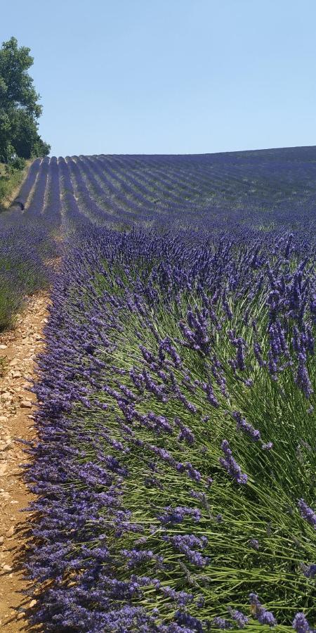 Bed and Breakfast Provencebleue Auribeau Экстерьер фото