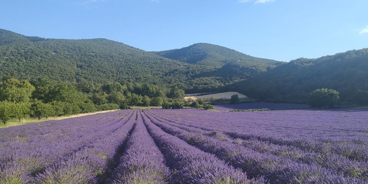 Bed and Breakfast Provencebleue Auribeau Экстерьер фото