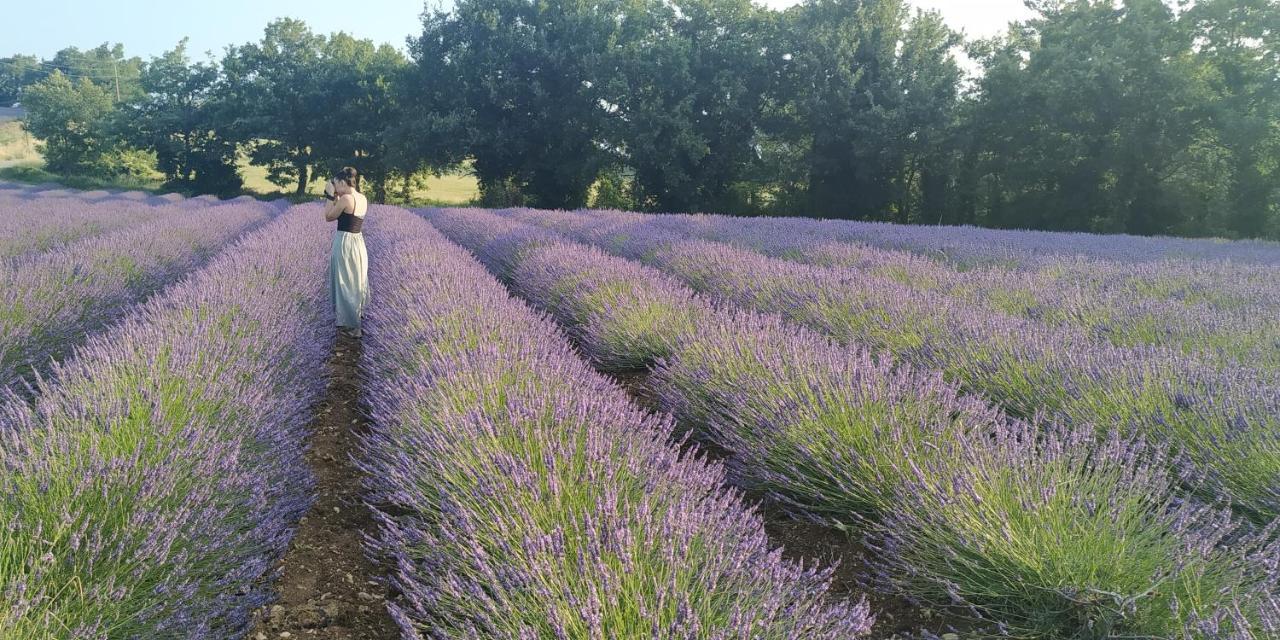 Bed and Breakfast Provencebleue Auribeau Экстерьер фото