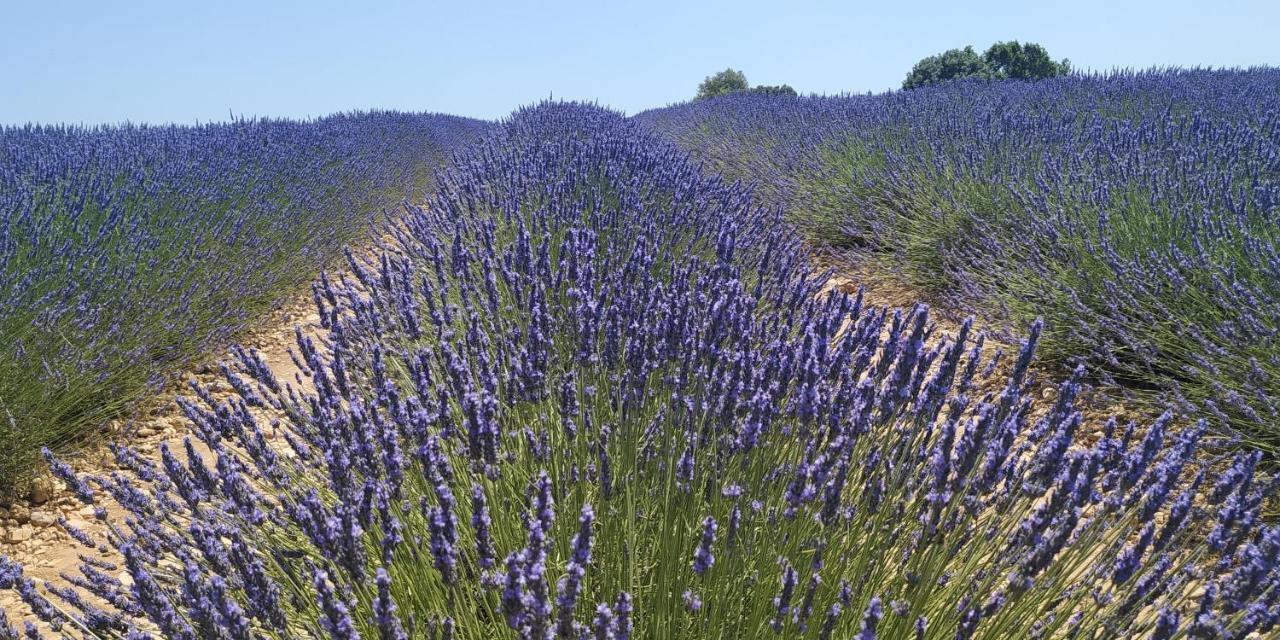 Bed and Breakfast Provencebleue Auribeau Экстерьер фото